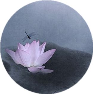 微信图片_20180430192043.jpg 微信图片_20180430192043.jpg