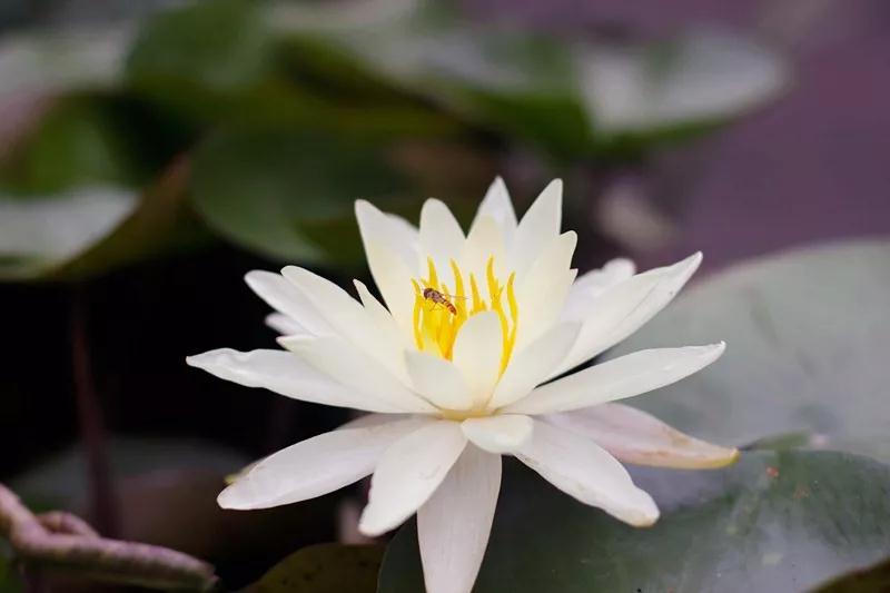 微信图片_20181016214332.jpg 微信图片_20181016214332.jpg