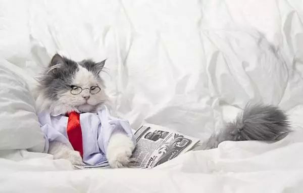 191914.jpg 191914.jpg