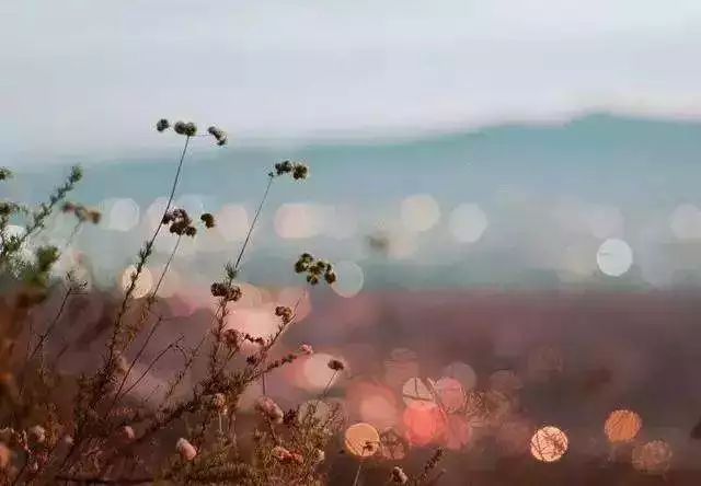 191935.jpg 191935.jpg