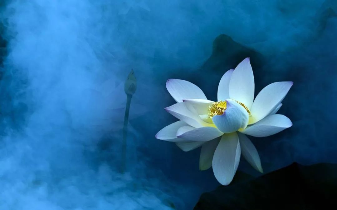 191939.jpg 191939.jpg