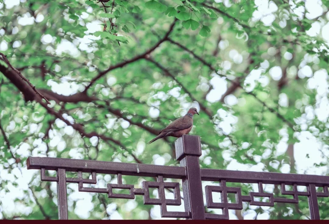 微信图片_20190517125146.jpg 微信图片_20190517125146.jpg