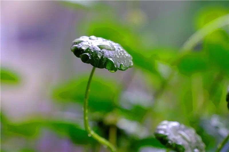 微信图片_20190517125151.jpg 微信图片_20190517125151.jpg