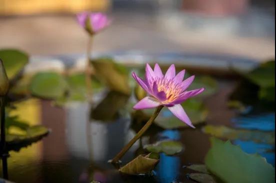 微信图片_20190601212638.jpg 微信图片_20190601212638.jpg