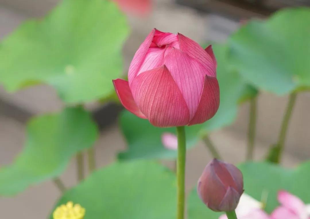 微信图片_20190601213205.jpg 微信图片_20190601213205.jpg