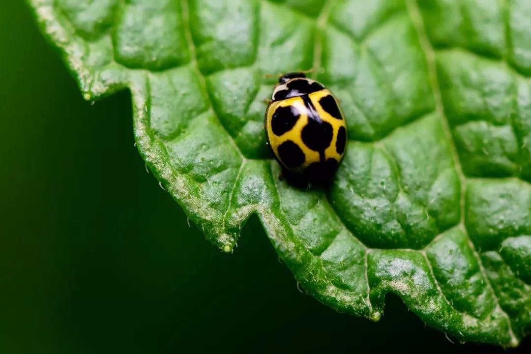 微信图片_20190601213209.jpg 微信图片_20190601213209.jpg