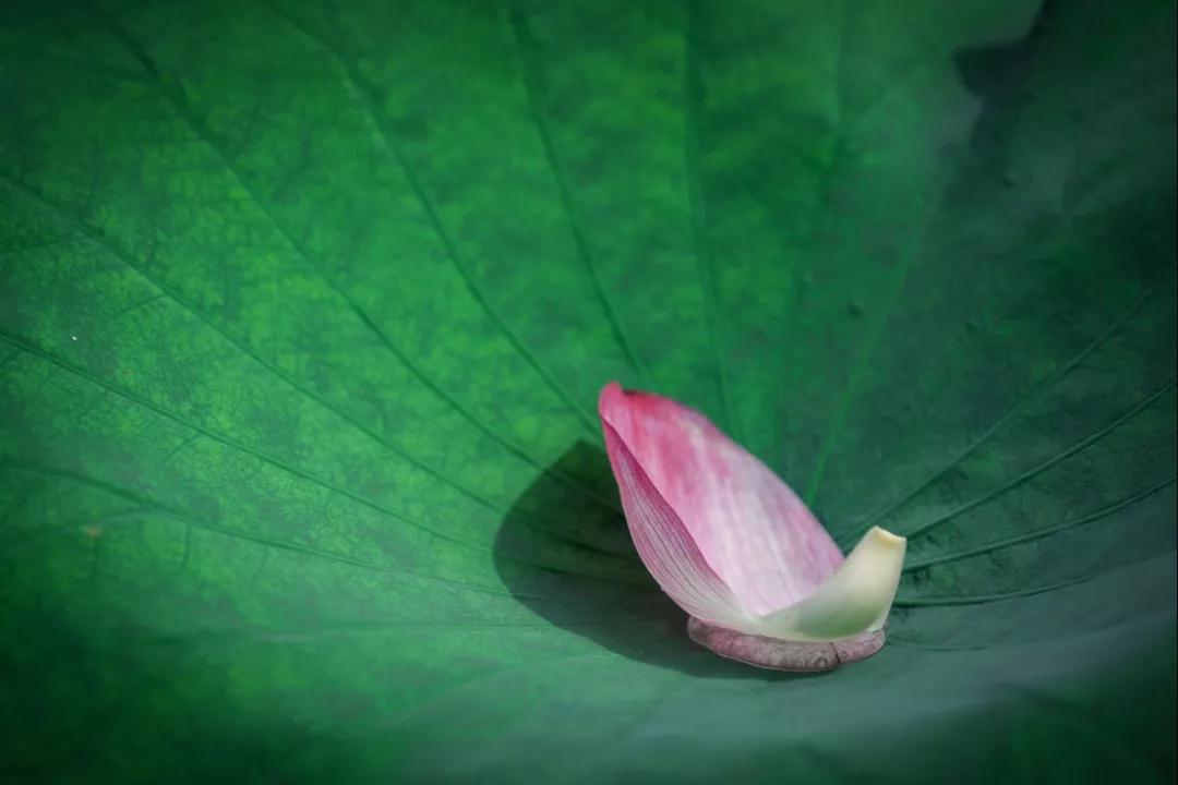 微信图片_20190731182232.jpg 微信图片_20190731182232.jpg