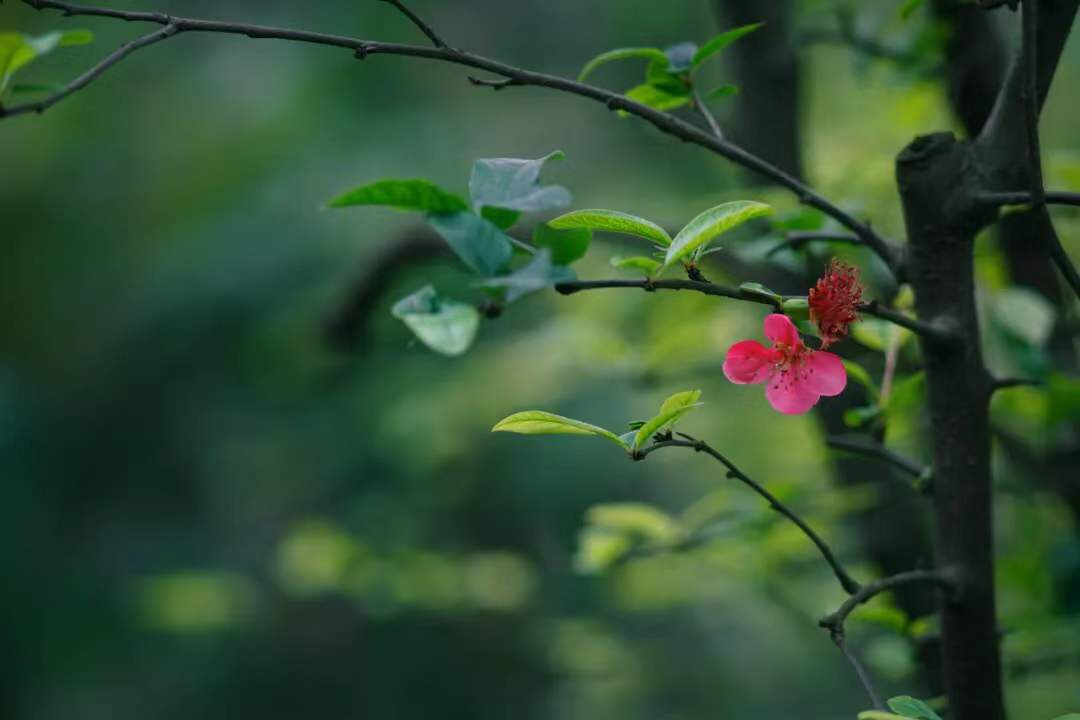 微信图片_20190921001203.jpg 微信图片_20190921001203.jpg