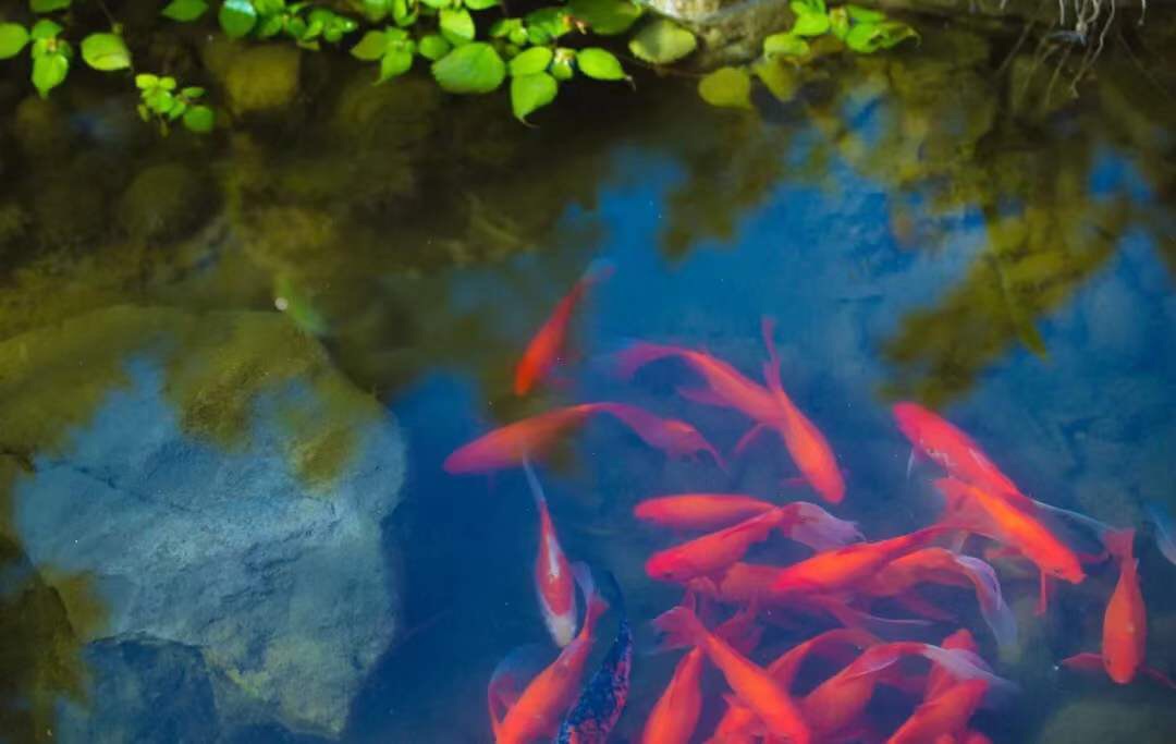 微信图片_20190921001157.jpg 微信图片_20190921001157.jpg