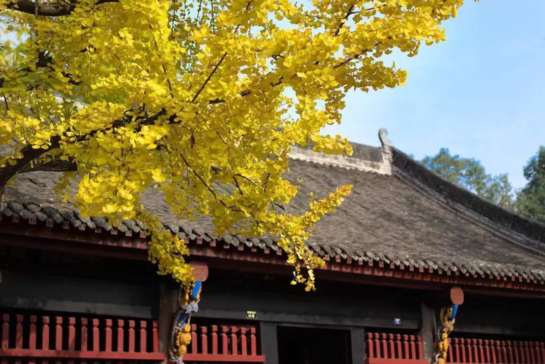 微信图片_20191008064820.jpg 微信图片_20191008064820.jpg