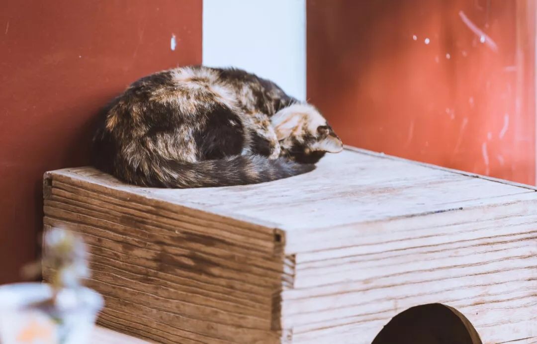 微信图片_20191108001454.jpg 微信图片_20191108001454.jpg