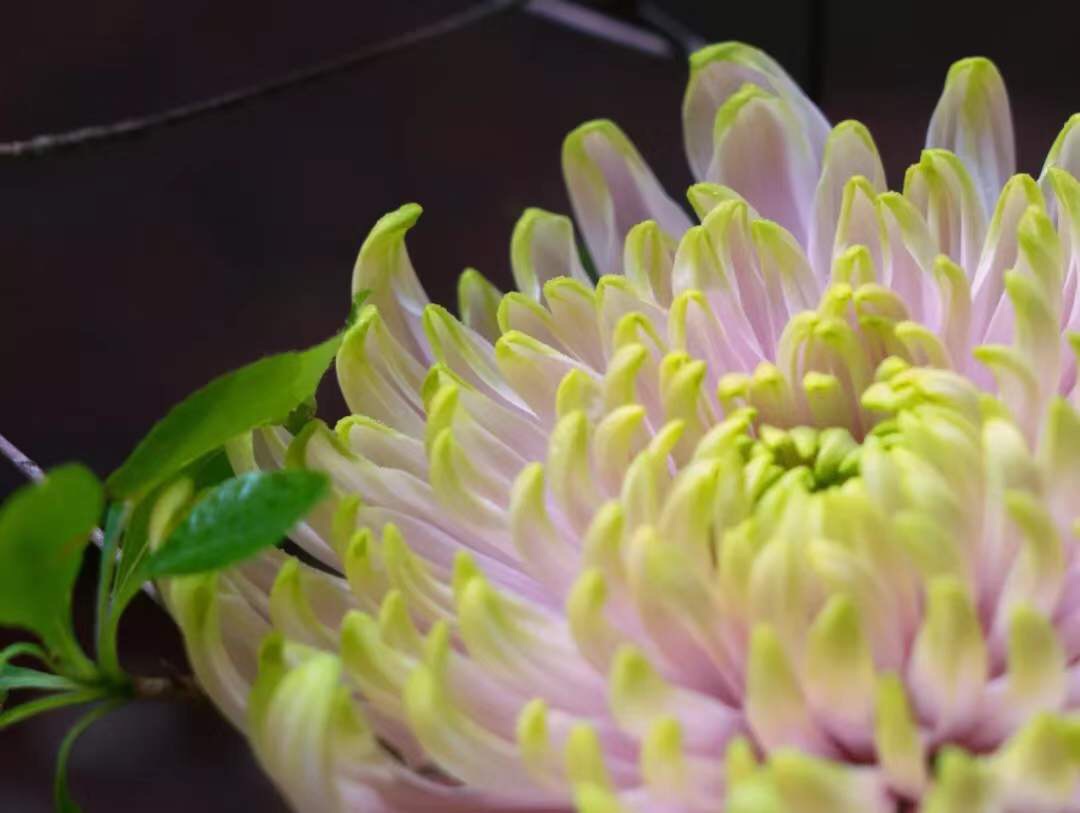 微信图片_20191115073012.jpg 微信图片_20191115073012.jpg