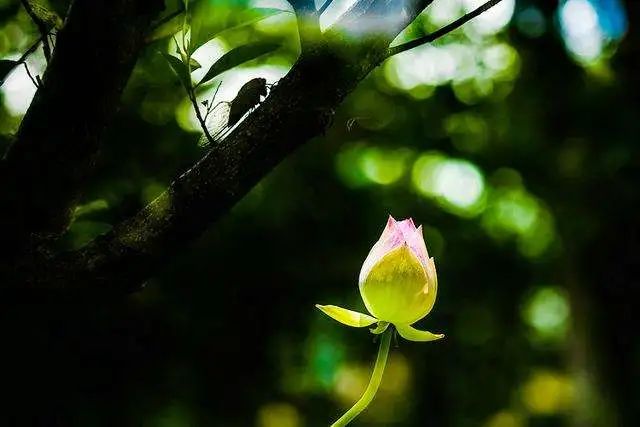 微信图片_20200716211745.jpg 微信图片_20200716211745.jpg