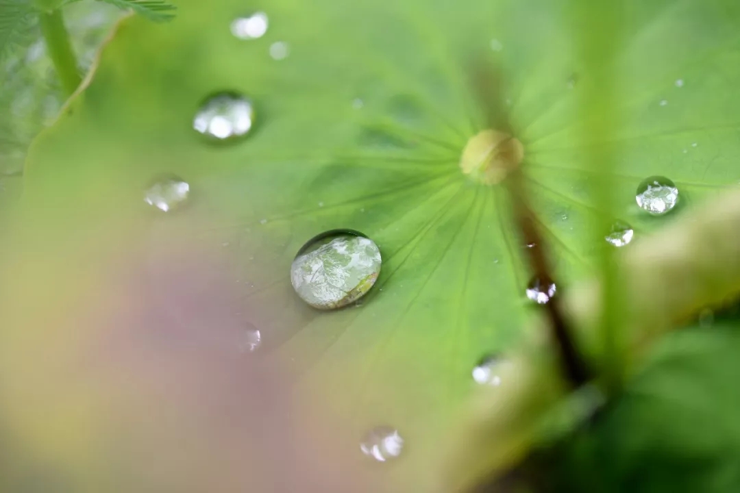 640.webp (56).jpg 640.webp (56).jpg