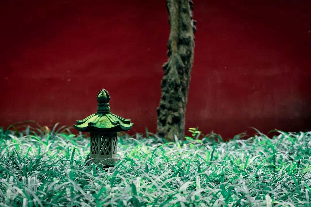 微信图片_20201024214003.jpg 微信图片_20201024214003.jpg