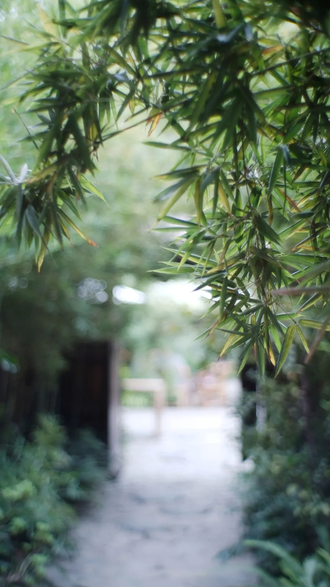 640.webp (78).jpg 640.webp (78).jpg