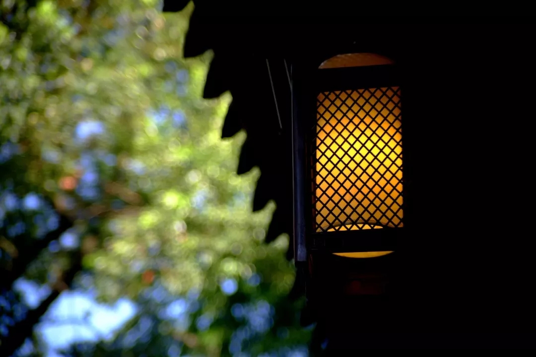 640.webp (83).jpg 640.webp (83).jpg